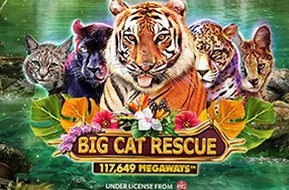 Big Cat Rescue Megaways
