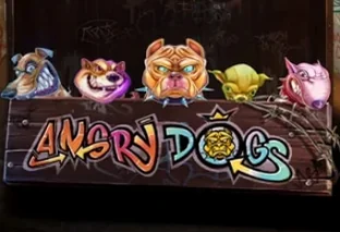 Angry Dogs
